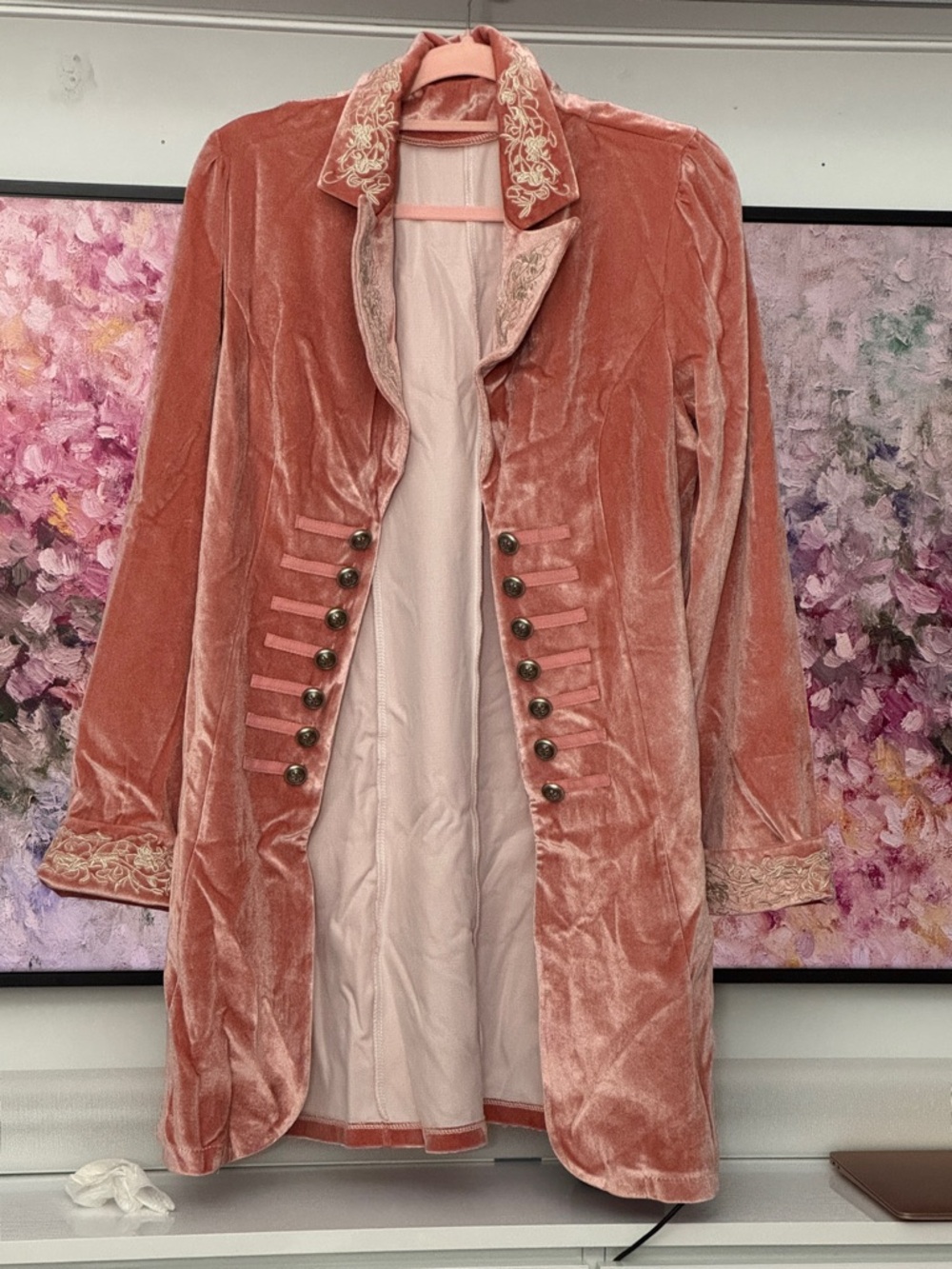 Vintage-Inspired Pink Velvet Embroidered Tailcoat Jacket - Picture 6 of 7